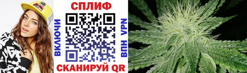 Бошки Шишки SATIVA & INDICA  ссылка на мегу   Колпашево 